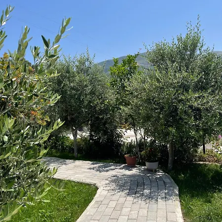Seamare * Vlore